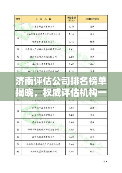 济南评估公司排名榜单揭晓，权威评估机构一览