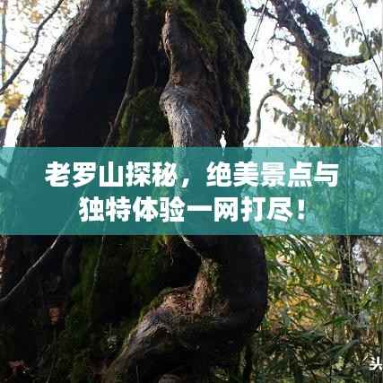 老罗山探秘，绝美景点与独特体验一网打尽！