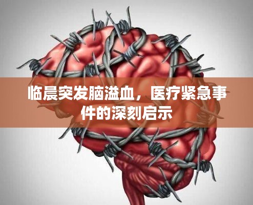 临晨突发脑溢血，医疗紧急事件的深刻启示