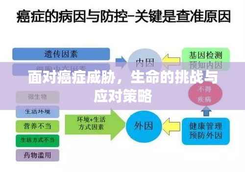 面对癌症威胁,生命的挑战与应对策略
