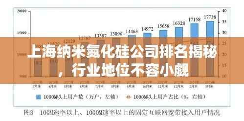 上海纳米氮化硅公司排名揭秘,行业地位不容小觑