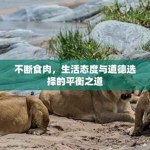 不断食肉,生活态度与道德选择的平衡之道