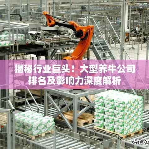 揭秘行业巨头!大型养牛公司排名及影响力深度解析