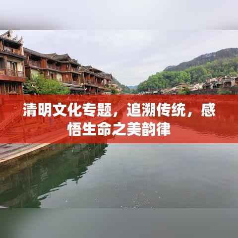 清明文化专题,追溯传统,感悟生命之美韵律