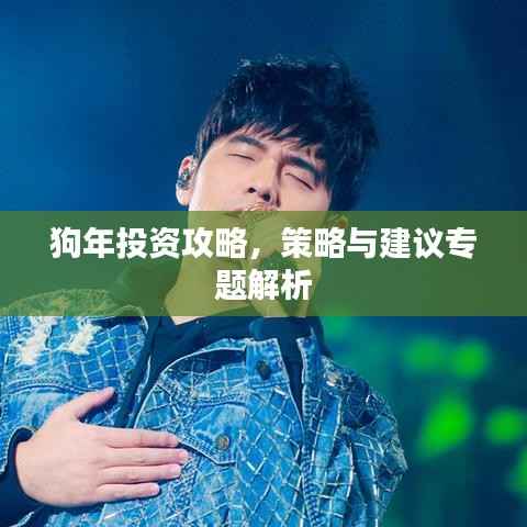 狗年投资攻略，策略与建议专题解析