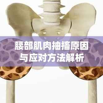 腰部肌肉抽搐原因与应对方法解析