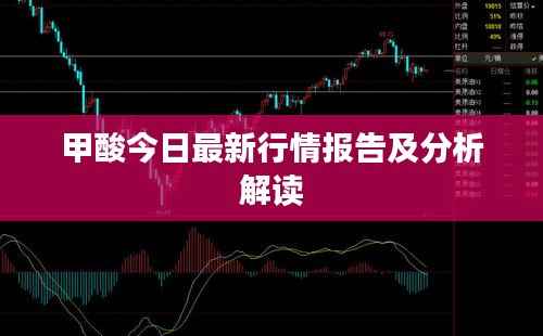 甲酸今日最新行情报告及分析解读