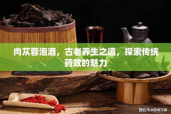 肉苁蓉泡酒,古老养生之道,探索传统药效的魅力