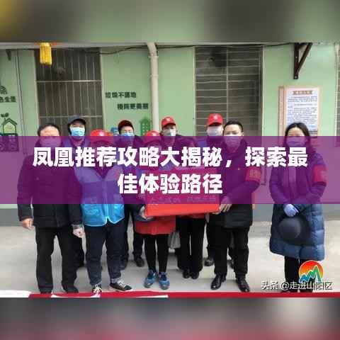 凤凰推荐攻略大揭秘,探索最佳体验路径