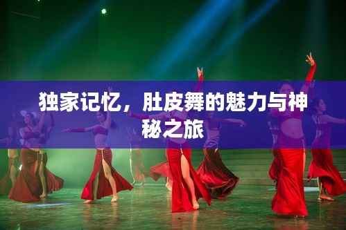 独家记忆，肚皮舞的魅力与神秘之旅