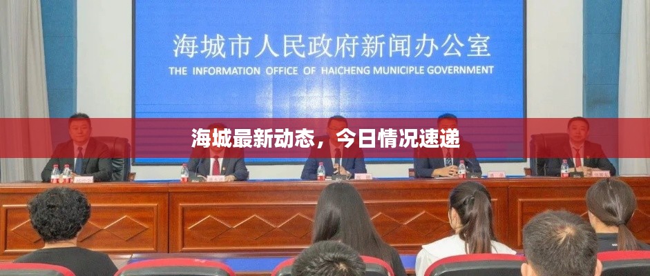 海城最新动态,今日情况速递