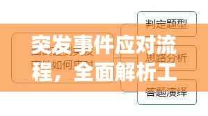 突发事件应对流程，全面解析工作程序