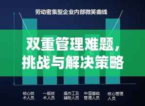 双重管理难题,挑战与解决策略探索