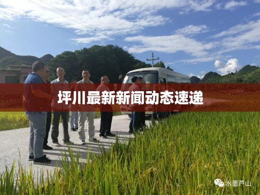 坪川最新新闻动态速递