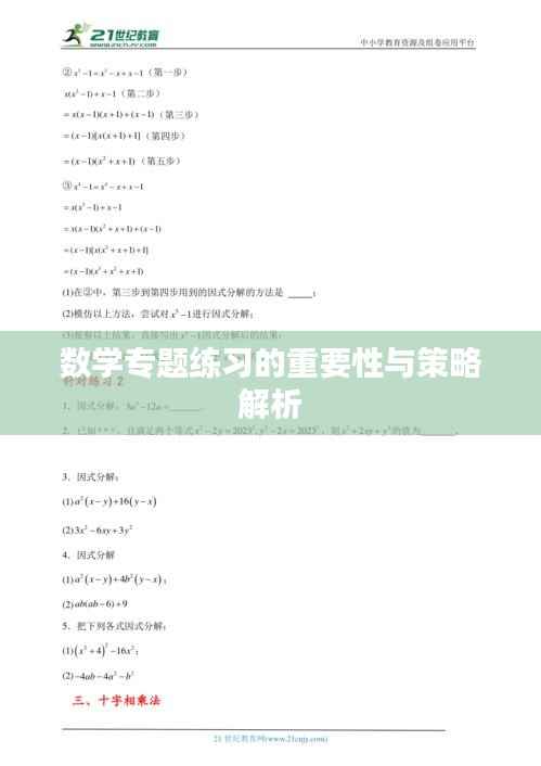 数学专题练习的重要性与策略解析
