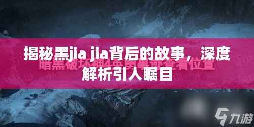 揭秘黑jia jia背后的故事,深度解析引人瞩目