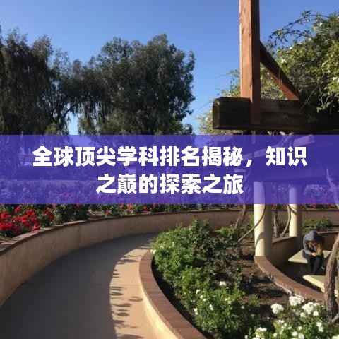 全球顶尖学科排名揭秘,知识之巅的探索之旅