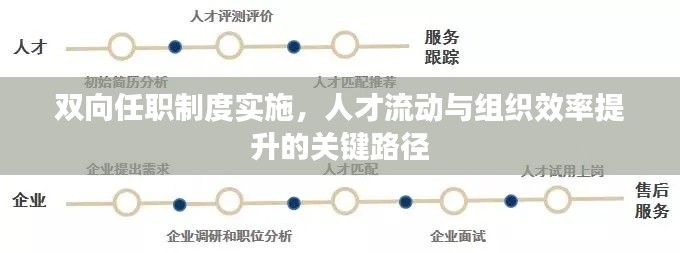 双向任职制度实施,人才流动与组织效率提升的关键路径